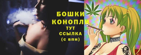 дмт Снежинск